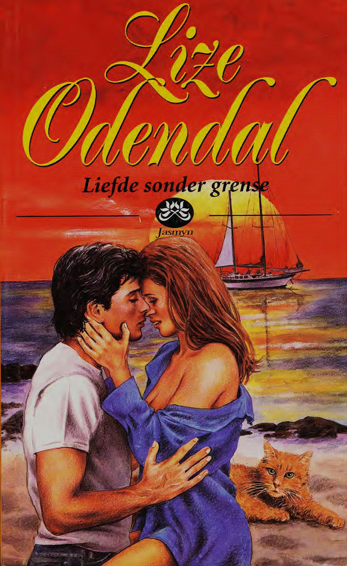Liefde sonder grense - Lize Odendal (2001)